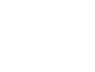 Solution Italy